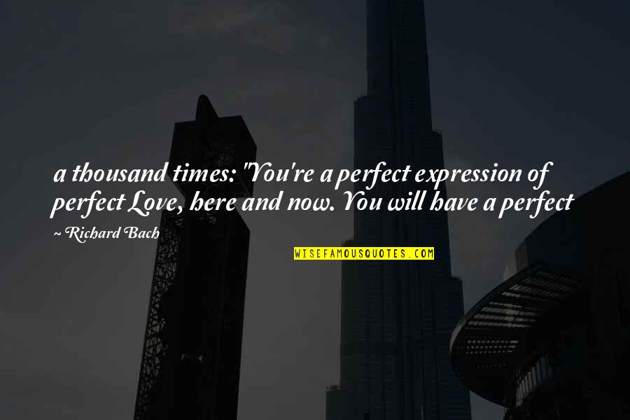 Niv Love Quotes By Richard Bach: a thousand times: "You're a perfect expression of