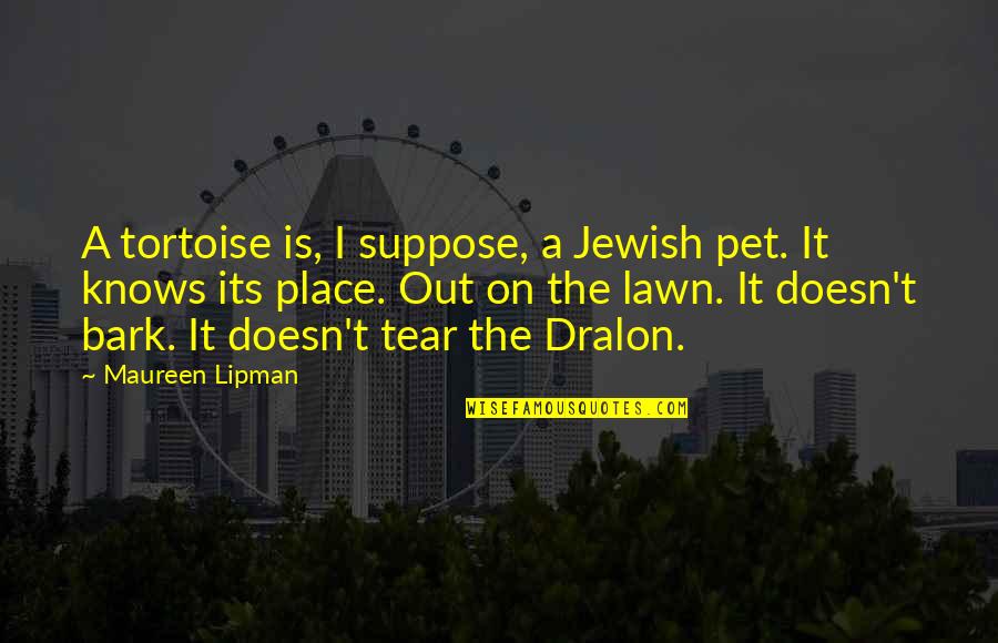 Nivas K Quotes By Maureen Lipman: A tortoise is, I suppose, a Jewish pet. Nivas K Quotes By Maureen Lipman: A tortoise is, I suppose, a Jewish pet.
