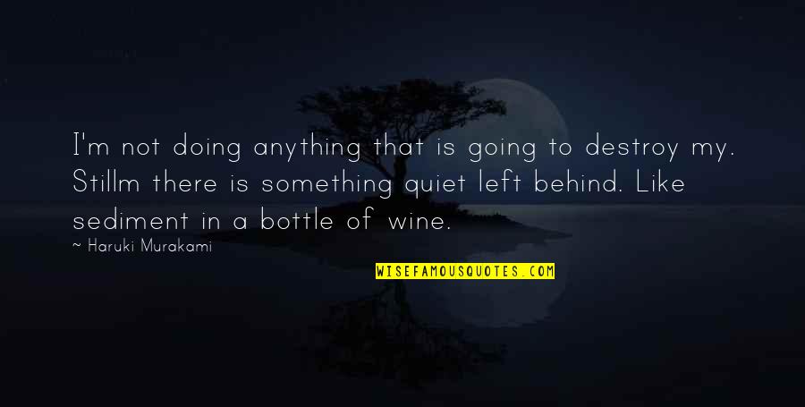 Nivellement Quotes By Haruki Murakami: I'm not doing anything that is going to