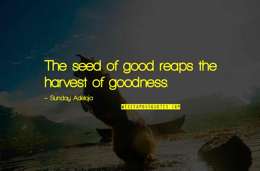 Nixest Quotes By Sunday Adelaja: The seed of good reaps the harvest of