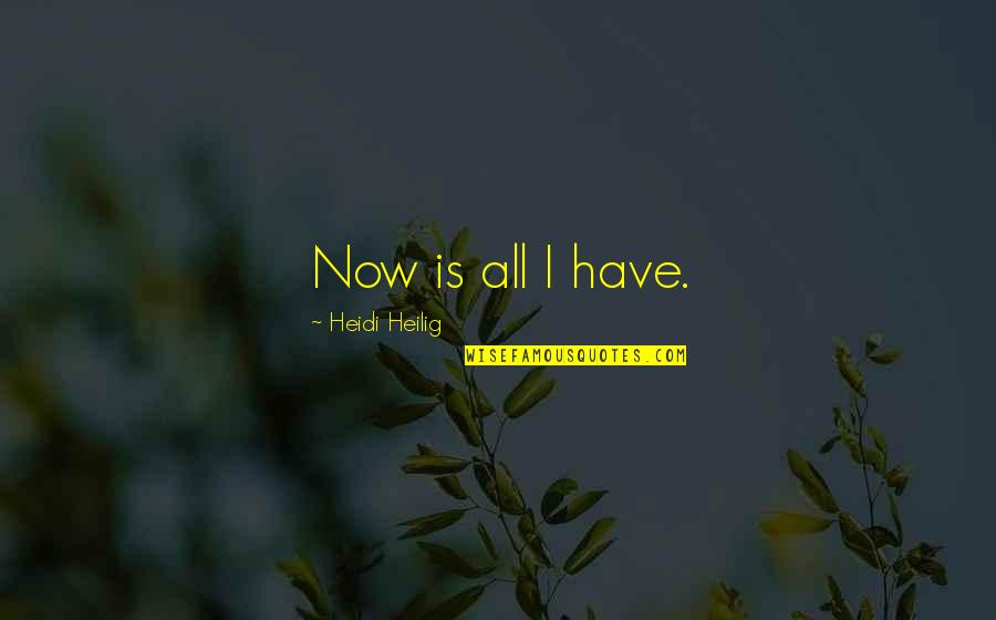 Nix's Quotes By Heidi Heilig: Now is all I have.