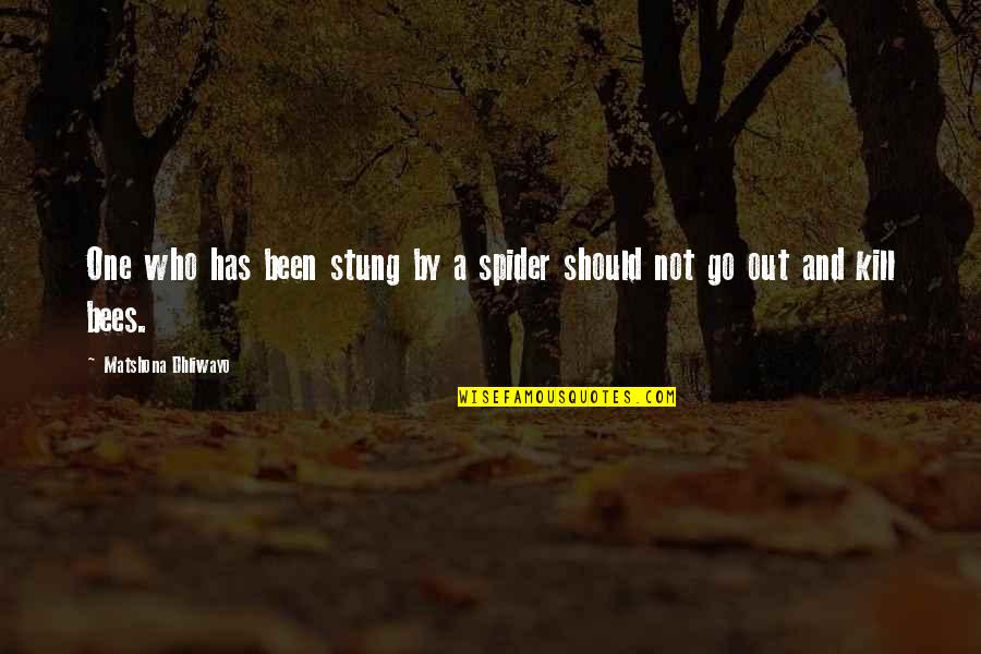 Niyogi Lab Quotes By Matshona Dhliwayo: One who has been stung by a spider