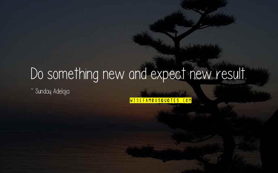 Njems Quotes By Sunday Adelaja: Do something new and expect new result.