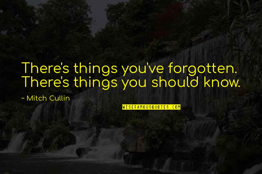 Njoji Quotes By Mitch Cullin: There's things you've forgotten. There's things you should