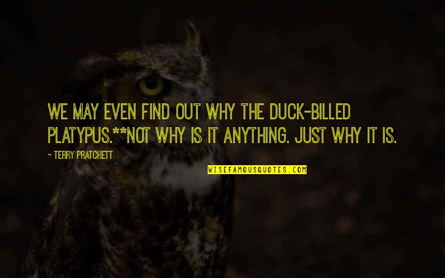 Njomescert Quotes By Terry Pratchett: We may even find out why the duck-billed Njomescert Quotes By Terry Pratchett: We may even find out why the duck-billed