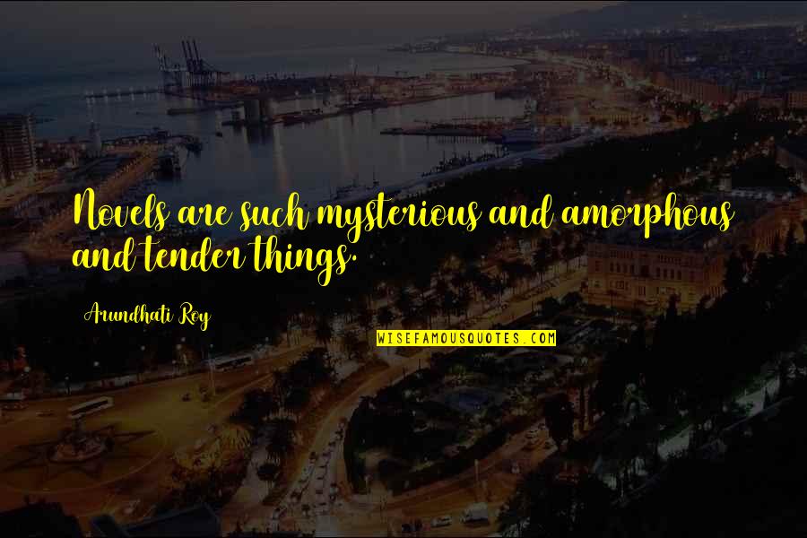 Nkda Quotes By Arundhati Roy: Novels are such mysterious and amorphous and tender Nkda Quotes By Arundhati Roy: Novels are such mysterious and amorphous and tender
