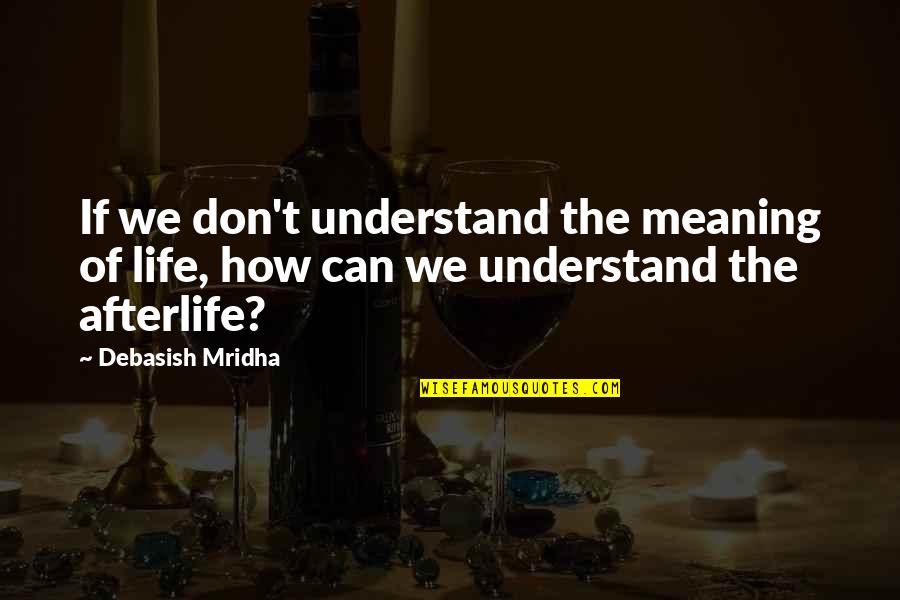 No Afterlife Quotes By Debasish Mridha: If we don't understand the meaning of life,