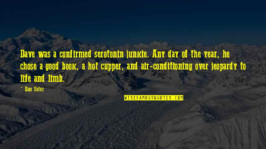 No Air Conditioning Quotes By Dan Sofer: Dave was a confirmed serotonin junkie. Any day