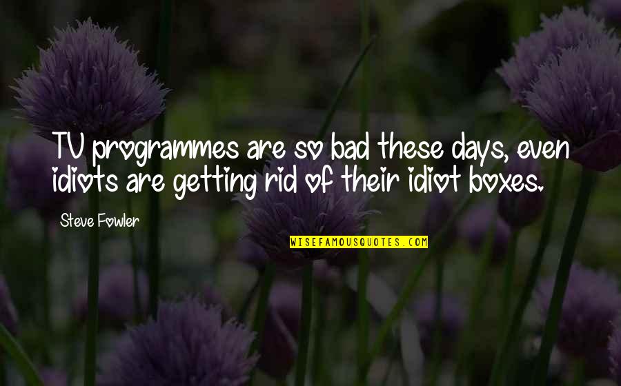 No Bad Days Quotes By Steve Fowler: TV programmes are so bad these days, even