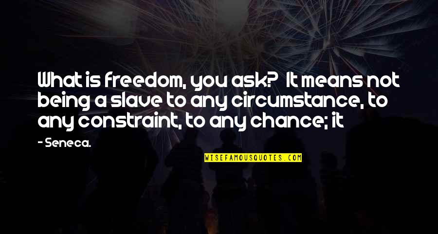 No Bark Noonan Quotes By Seneca.: What is freedom, you ask? It means not