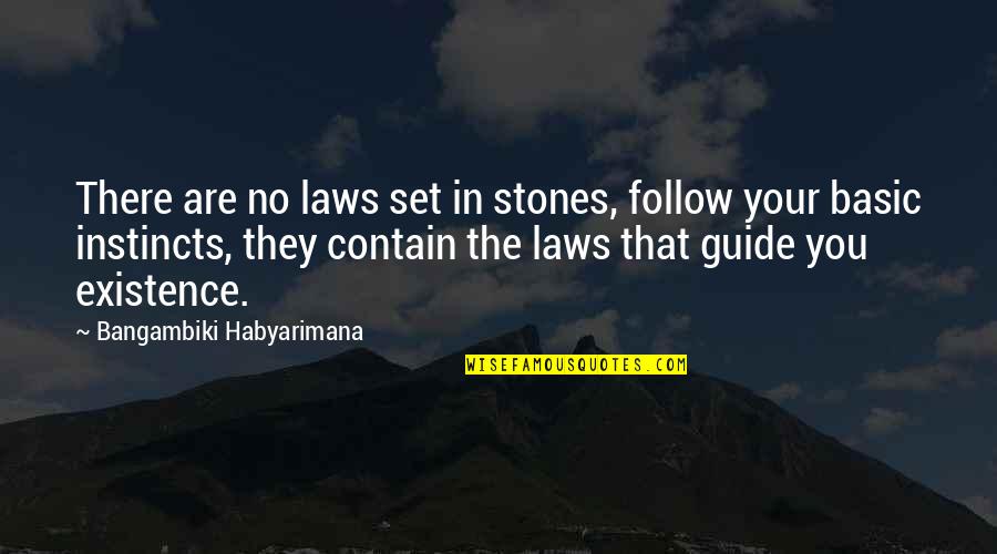 No Basic Quotes By Bangambiki Habyarimana: There are no laws set in stones, follow