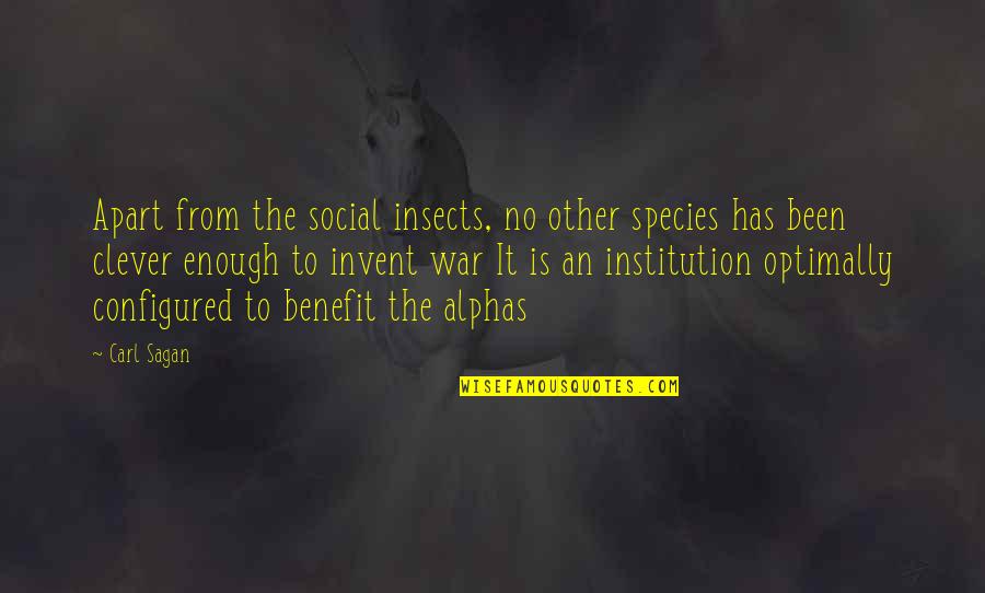 No Benefit Quotes By Carl Sagan: Apart from the social insects, no other species