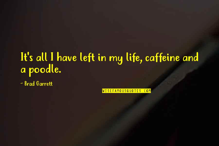 No Caffeine Quotes By Brad Garrett: It's all I have left in my life,