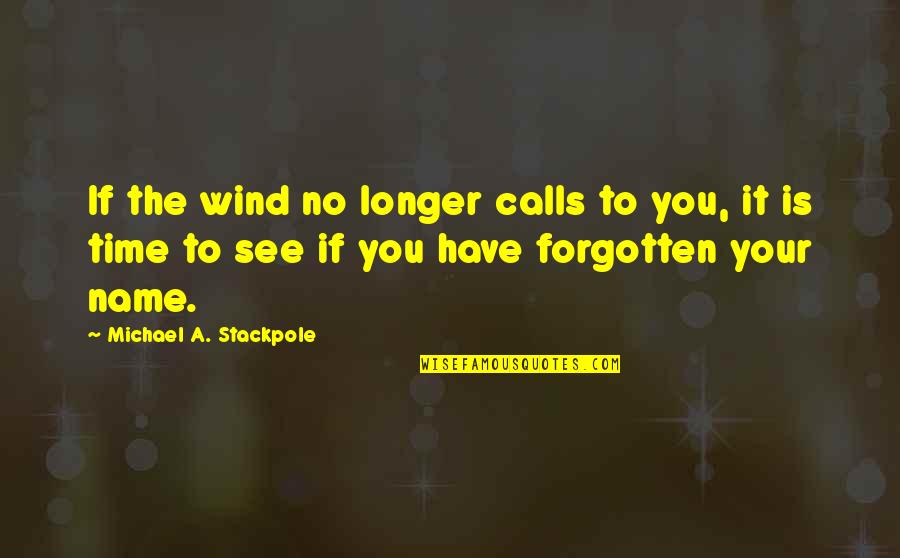 No Calls Quotes By Michael A. Stackpole: If the wind no longer calls to you,