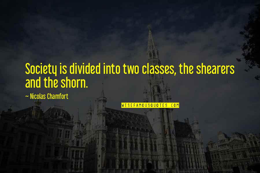 No Classes Quotes By Nicolas Chamfort: Society is divided into two classes, the shearers