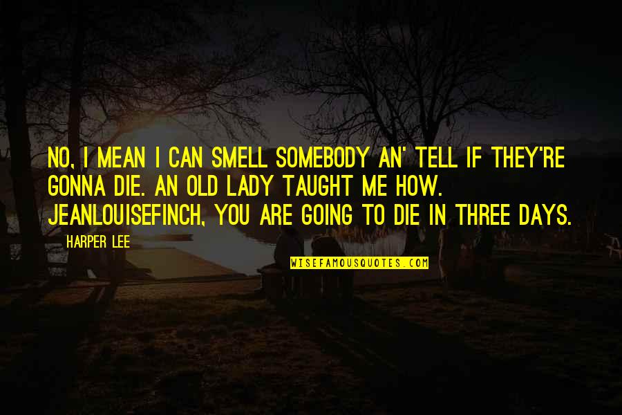 No Days Off Quotes By Harper Lee: No, I mean I can smell somebody an'