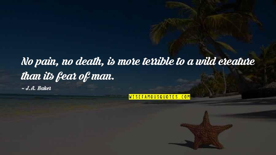 No Death No Fear Quotes By J.A. Baker: No pain, no death, is more terrible to