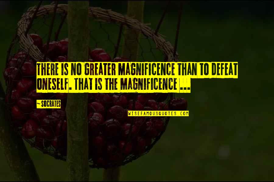 No Defeat Quotes By Socrates: There is no greater magnificence than to defeat