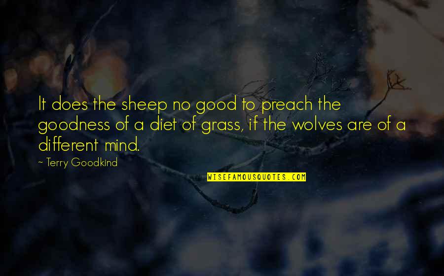 No Diet Quotes By Terry Goodkind: It does the sheep no good to preach