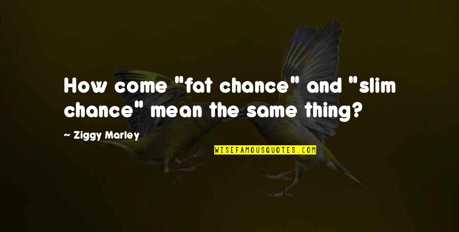No Dumb Questions Quotes By Ziggy Marley: How come "fat chance" and "slim chance" mean