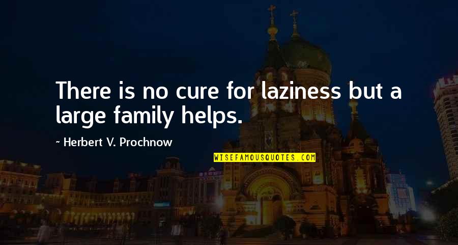 No Family Quotes By Herbert V. Prochnow: There is no cure for laziness but a
