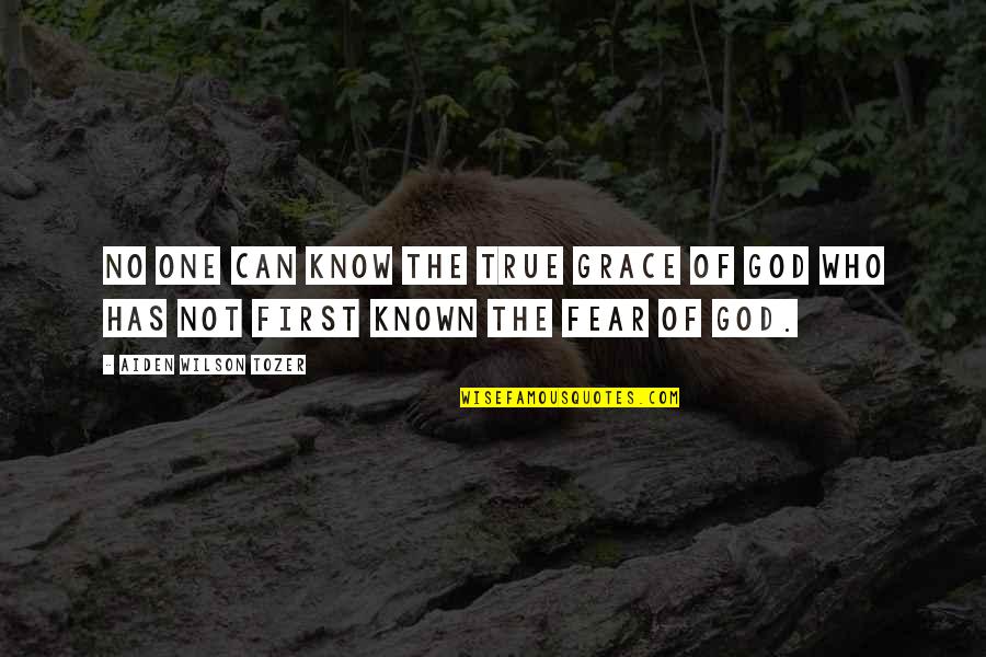 No Fear God Quotes By Aiden Wilson Tozer: No one can know the true grace of