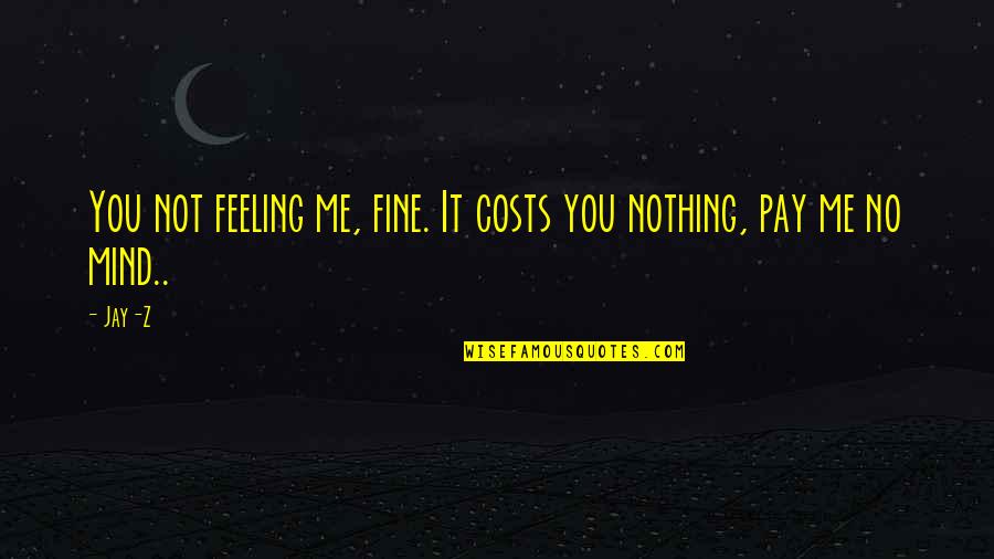 No Feeling Quotes By Jay-Z: You not feeling me, fine. It costs you