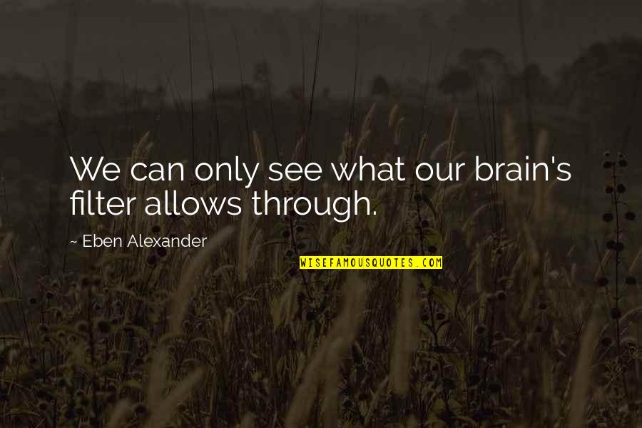 No Filter Quotes By Eben Alexander: We can only see what our brain's filter