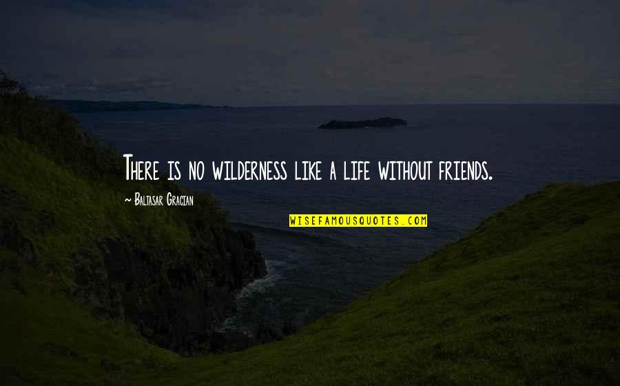 No Friendship Quotes By Baltasar Gracian: There is no wilderness like a life without