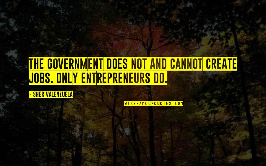 No Government Jobs Quotes By Sher Valenzuela: The government does not and cannot create jobs.