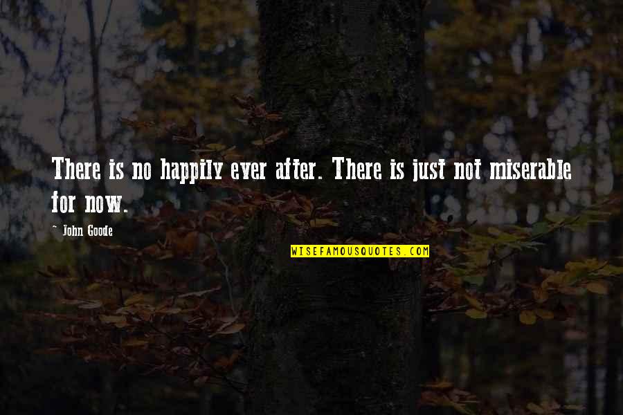 No Happily Ever After Quotes By John Goode: There is no happily ever after. There is