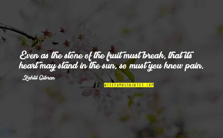 No Heart No Pain Quotes By Kahlil Gibran: Even as the stone of the fruit must No Heart No Pain Quotes By Kahlil Gibran: Even as the stone of the fruit must