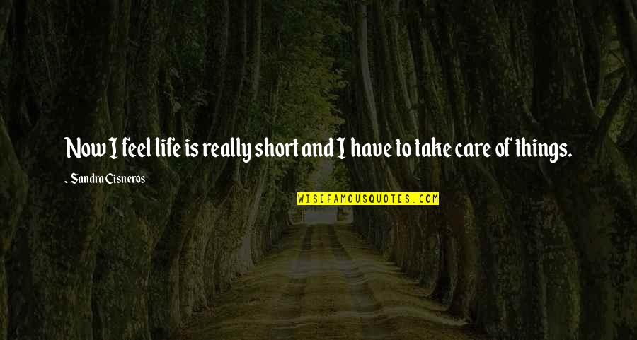 No Honking Quotes By Sandra Cisneros: Now I feel life is really short and