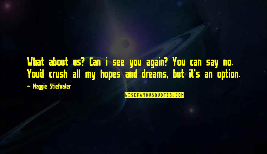 No Hopes No Dreams Quotes By Maggie Stiefvater: What about us? Can i see you again?