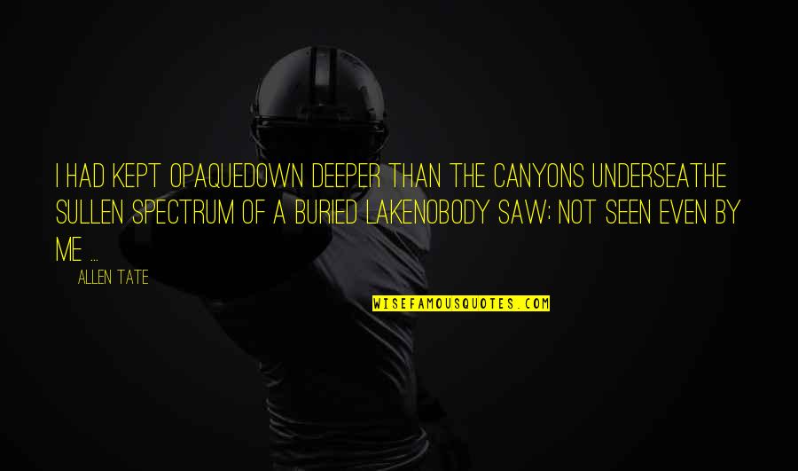 No Im Not Jealous Quotes By Allen Tate: I had kept opaqueDown deeper than the canyons