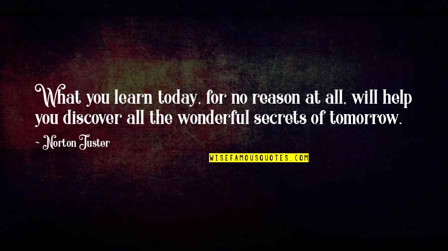 No Inspirational Quotes By Norton Juster: What you learn today, for no reason at