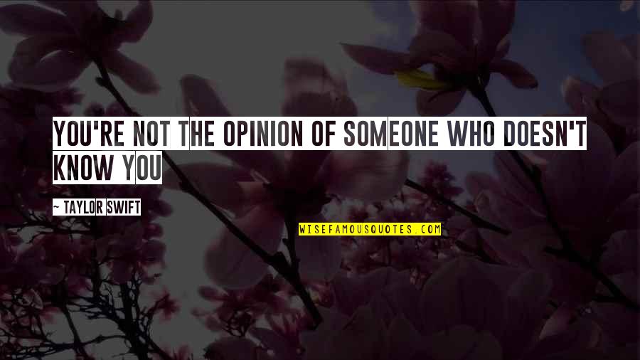 No Job Is Small Quotes By Taylor Swift: you're not the opinion of someone who doesn't
