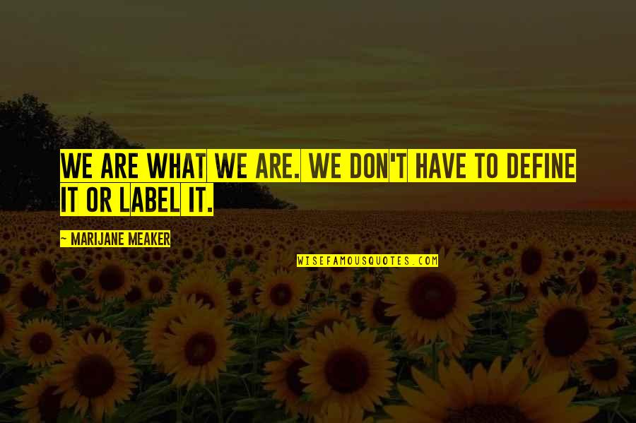 No Label Quotes By Marijane Meaker: We are what we are. We don't have