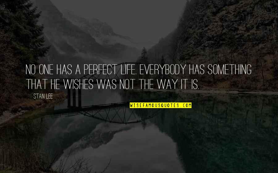No Life Is Perfect Quotes By Stan Lee: No one has a perfect life. Everybody has