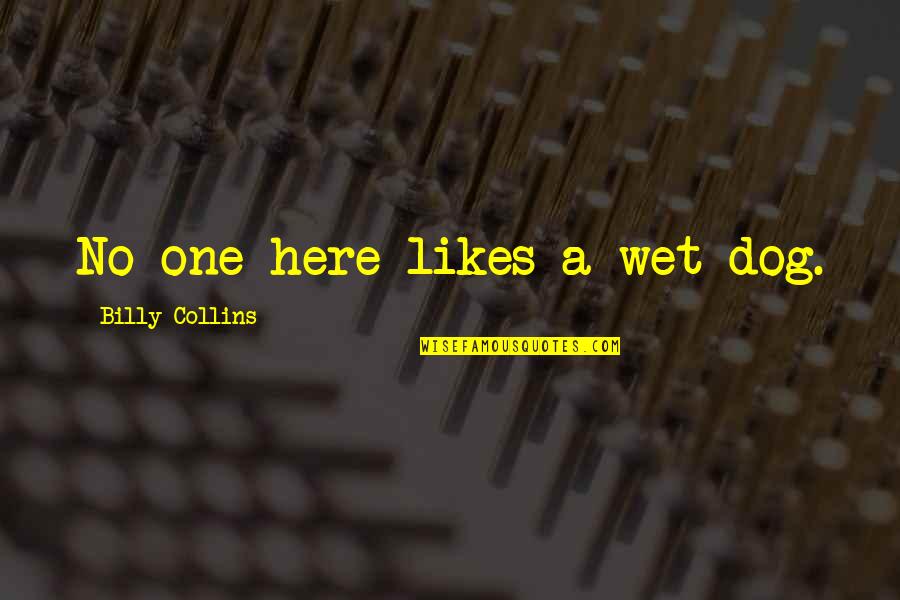 No Likes Quotes By Billy Collins: No one here likes a wet dog.