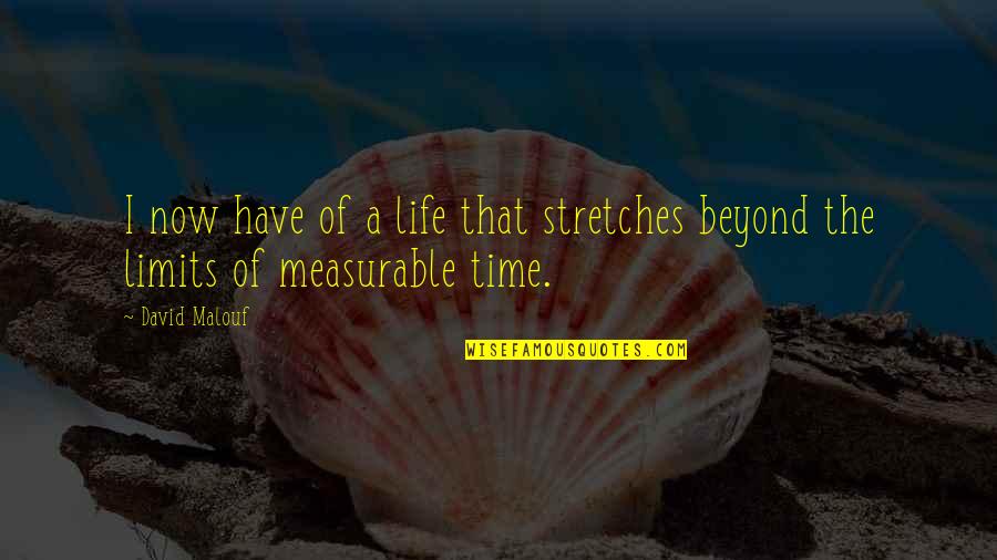 No Limits In Life Quotes By David Malouf: I now have of a life that stretches