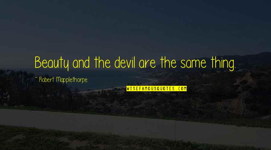 No Load Life Insurance Quotes By Robert Mapplethorpe: Beauty and the devil are the same thing.
