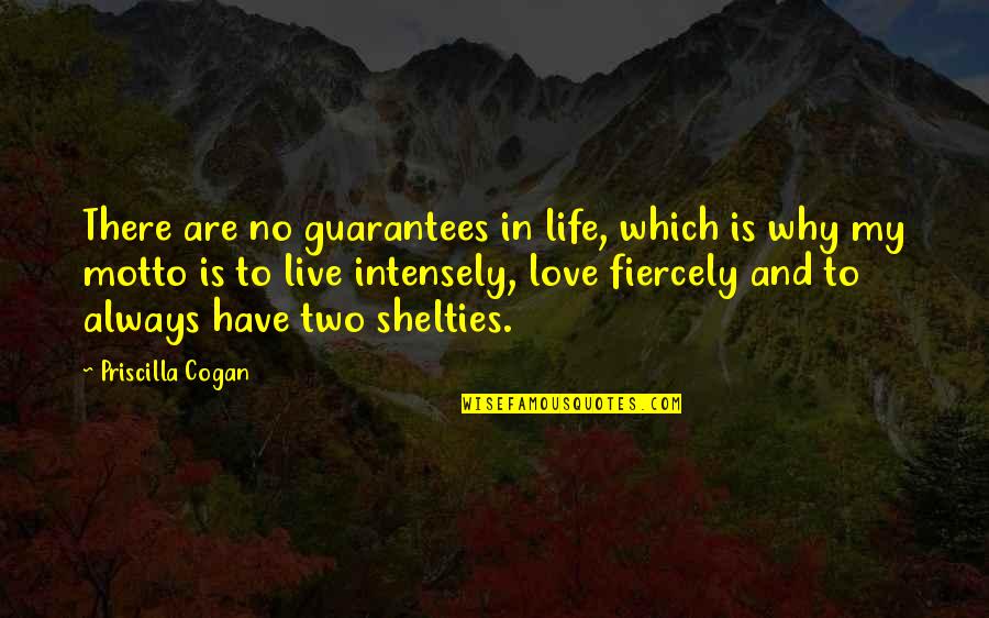 No Love In My Life Quotes By Priscilla Cogan: There are no guarantees in life, which is