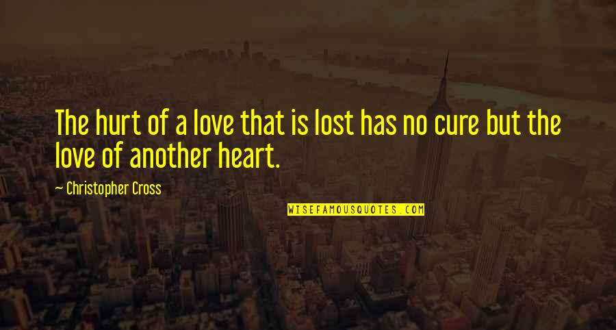 No Love Lost Quotes By Christopher Cross: The hurt of a love that is lost