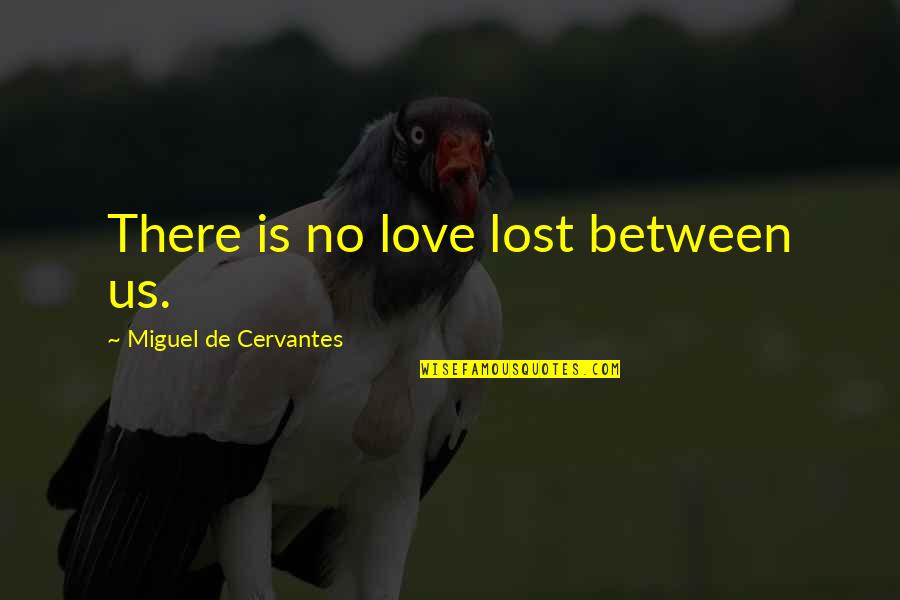 No Love Lost Quotes By Miguel De Cervantes: There is no love lost between us.