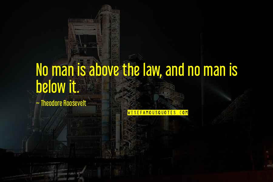 No Man Is Above The Law Roosevelt Quotes By Theodore Roosevelt: No man is above the law, and no No Man Is Above The Law Roosevelt Quotes By Theodore Roosevelt: No man is above the law, and no