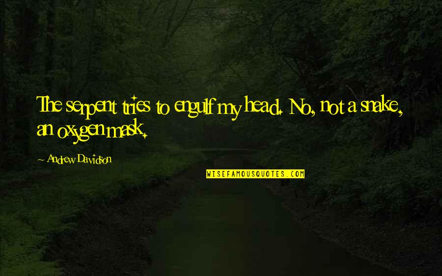 No Mask Quotes By Andrew Davidson: The serpent tries to engulf my head. No,