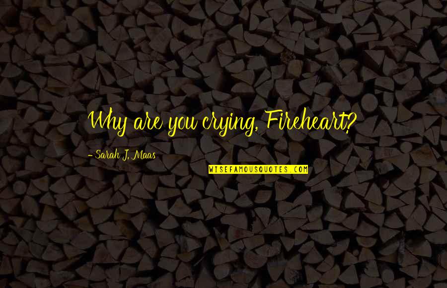 No Matter How Many Tears I Cry Quotes By Sarah J. Maas: Why are you crying, Fireheart?