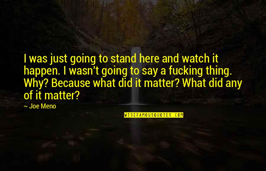 No Matter What I Am Here For You Quotes By Joe Meno: I was just going to stand here and