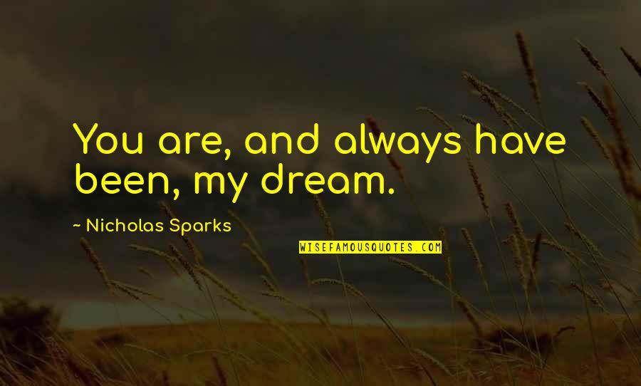 No Matter Your Social Status Quotes By Nicholas Sparks: You are, and always have been, my dream.
